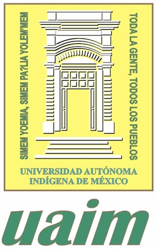 Logotipo oficial de la Universidad Autónoma Indígena de México